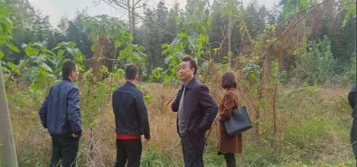 市環(huán)境攻堅辦調(diào)研組深入浉河區(qū)開展耕地土壤污染防治專項調(diào)研